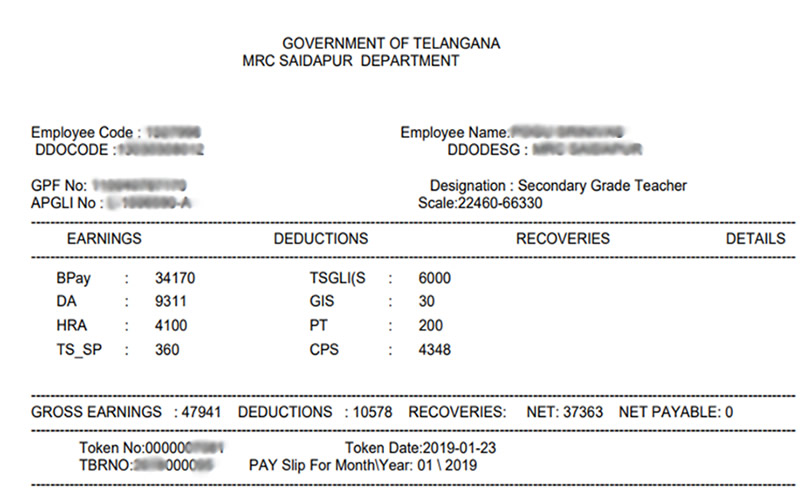 TS Employee monthly Pay slip model