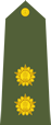 Indian army lieutenant shoulder patch