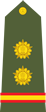 indain army subedar shoulder patch