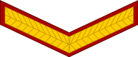 indian army lance naik arm patch