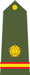 indian army naib subedar shoulder patch