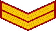 indian army naik arm patch